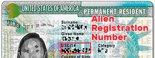 How to get the Alien Registration Number (A-Number)?